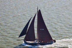 Lemsteraak LE194